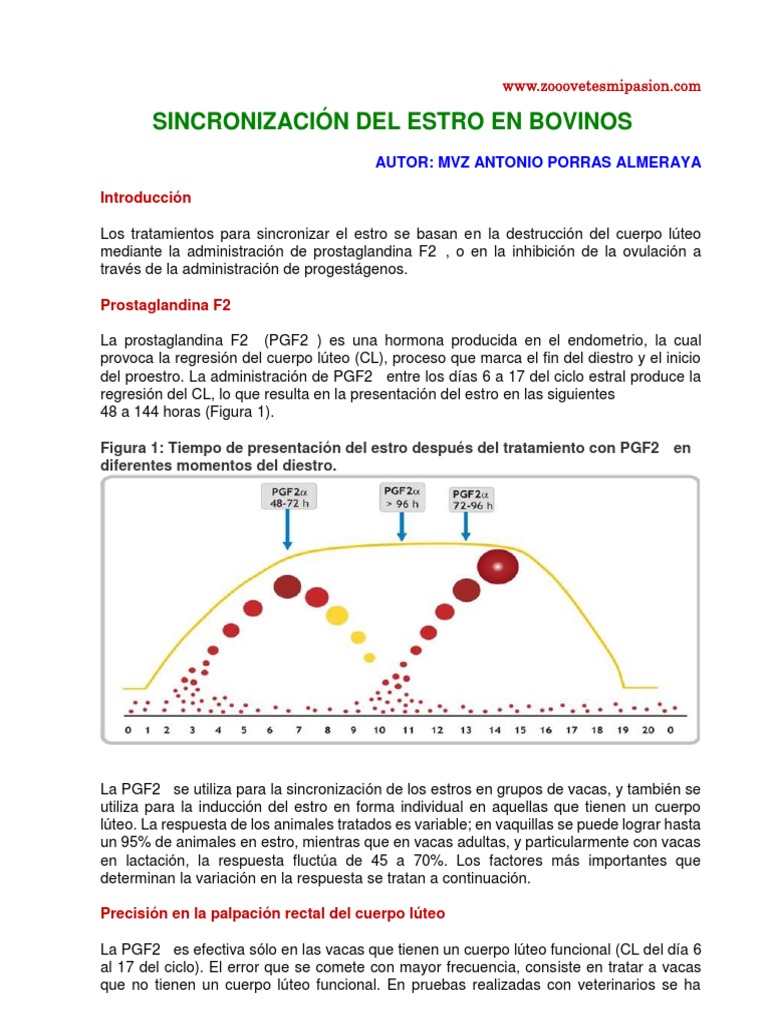 LA VARIE TIPOLOGIE DI ALLEVAMENTI DI SUINI IN ITALIA | Il Mondo Degli - Foto 8