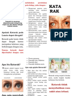 Leaflet Katarak