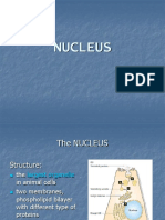 The Structure and Functions of the Nucleus