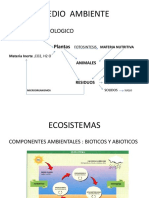 contaminacion ambiental.pptx