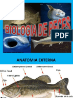 Biologia de Peces