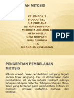 Pembelahan Mitosis