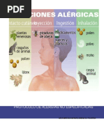 Protocolo de Alergia No Especificada(1)