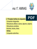 Tema17.Aminas.pdf