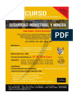 Curso Seguridad Indsutrial y Minera