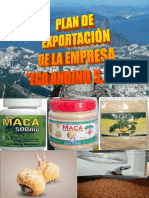 217530782-PLAN-DE-NEGOCIOS-DE-EXPORTACION.pdf