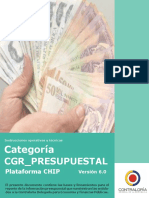 Instrucciones Operativas y Tecnicas Categoría CGR - Prespuestal