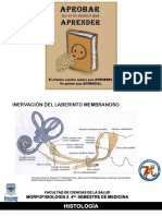 Sistema Endocrino