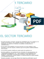 lectura El Sector Terciario