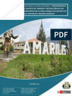 PIP-Amarilis.pdf
