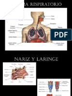 semiología respiratoria.pptx