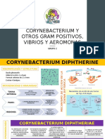 Corynebacterium y Otros Gram Positivos, Vibrios y