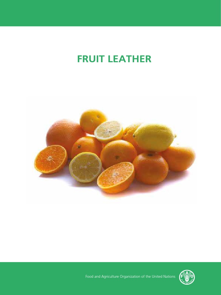 Fruit Leather PDF Dried Fruit Fruit