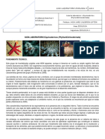 GUIA_DE_LABORATORIO_1._EQUINODERMOS.pdf