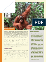 Orangutan Borneo PDF