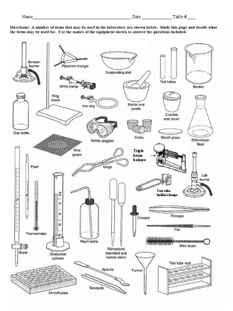 lab equipment worksheet | Chemical Substances | Physical Sciences