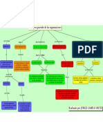 Conceptos Organizacionales