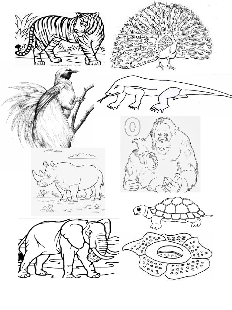 Gambar Hewan Dan Tumbuhan Langka