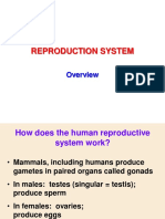 KULIAH 2_Sistem Reproduksi_Overview.pdf