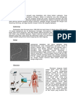 Leptospirosis Bila
