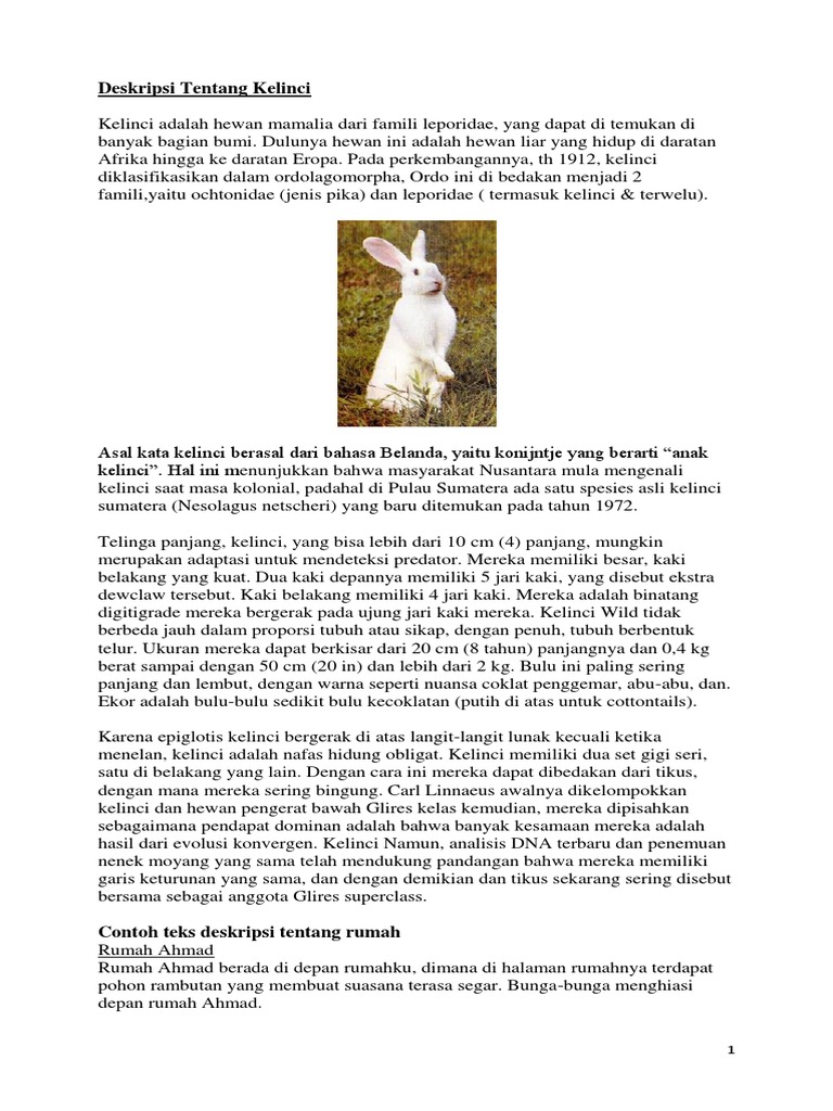 Deskripsi Tentang Kelinci