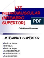 143178496 Kinesiotaping Miembro Superior