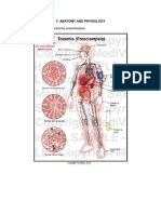 Anatomy Pathophysiology Preeclampsia