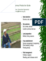 17 Artemisia Annua Production Guide1-2