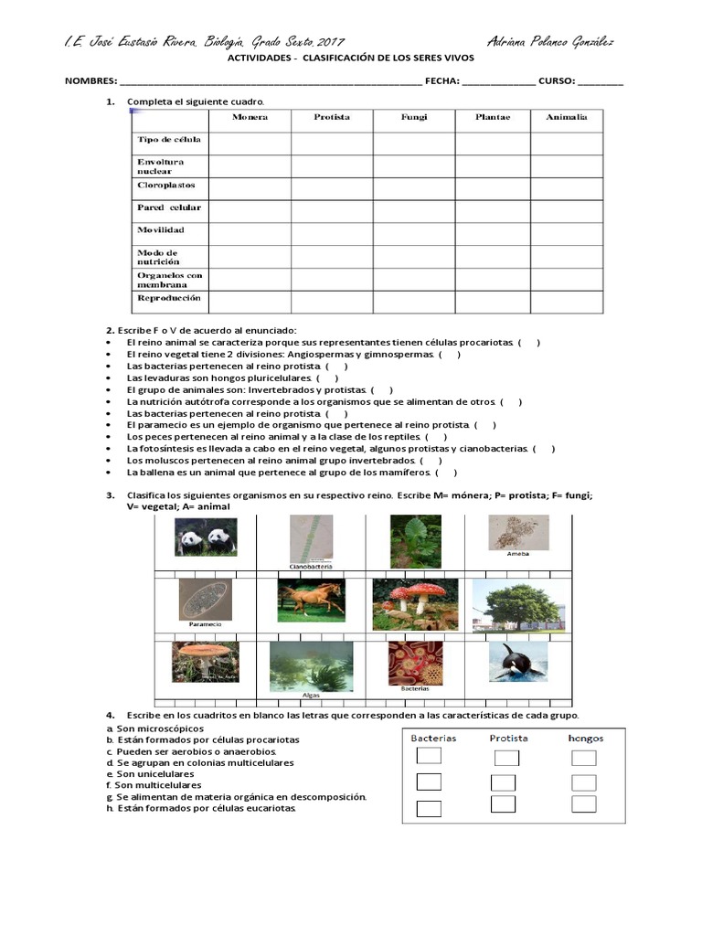 Actividades sobre los 5 reinos de la naturaleza | PDF | Plantas | Organismos
