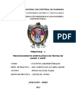 264221712-INFORME-DE-CAFE-Y-CACAO-pdf.pdf