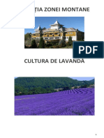 cultura-de-lavanda-2017.pdf
