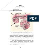 113063J116017 - Chapter II