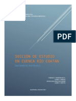 Informe Final Cuenca Coatan