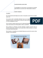 ENFERMEDADES DE TRASMICION SEXUAL EN EL PERU.docx