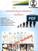 DesarrolloHumano