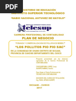 PROYECTO-PAVIPOLLOS-COMPLETOULTIMO.docx