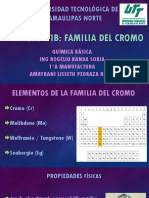 Grupo Vi - Familia Del Cromo