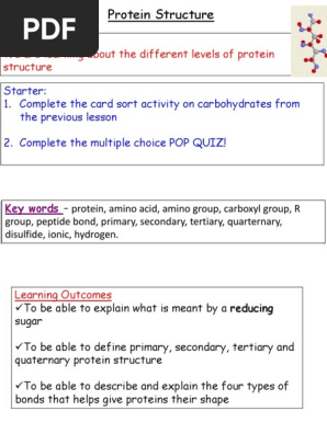 Protein Structure Ate Peptide Protein Structure