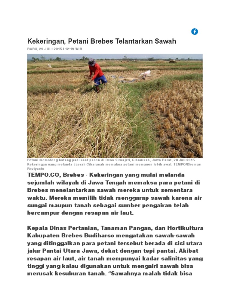 SAWAH | PDF