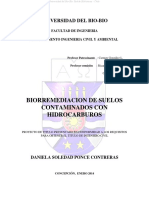 Biorremediacion Suelos