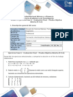 Anexo 3. Ejercicios Fase 6 Evaluación Final POA