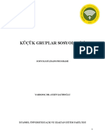 Ayşen Şatıroğlu - Küçük Gruplar Sosyolojisi PDF