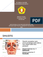 Patofisiologi Sinusitis Lia