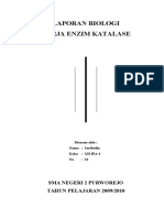 Download Laporan Biologi Kerja Enzim Katalase by Ananda Rindang SN35911802 doc pdf