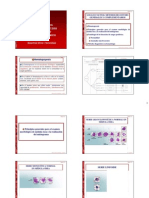 TEMA 10-1. Leucocitos. Métodos Generales y Complementarios de Estudio