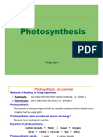 Photosynthesis