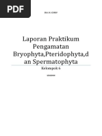 Download Laporan Praktikum Bryophyta Pteridophyta Spermatophyta by Satrio Prayogo SN359125317 doc pdf