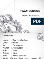 Palatoschisis