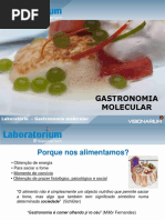 Lab Gastronomia Molecular 2016