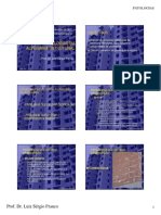 AULA 13 - PCC 2515 - Patologia.pdf